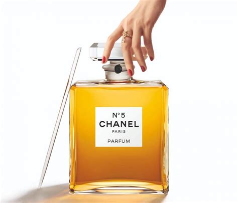 chanel perfume bottles|chanel no 5 biggest bottle.